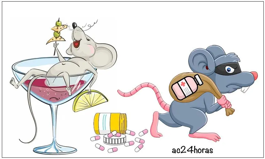 A boa vida dos ratos da saúde do Acre