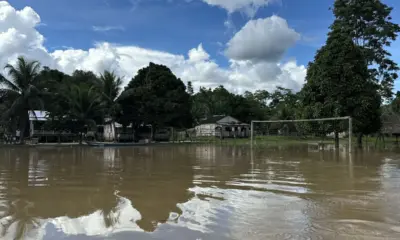 Indígenas Huni Kuin recebem ajuda após prejuízo de 10 mil pés de banana