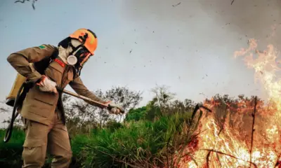 Acre teve média de 63 ocorrências diárias dos bombeiros em 2025, aponta levantamento