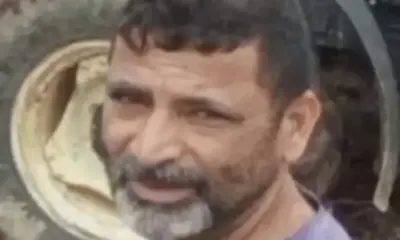 Trabalhador morre após ser atingido por árvore durante derrubada