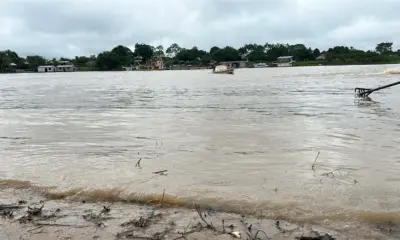 Rio Juruá registra nível quase 4 metros acima do observado no ano passado