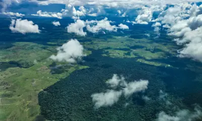 Acre registra 433 fiscalizações ambientais e aplica R$ 68,3 milhões em multas em 2025