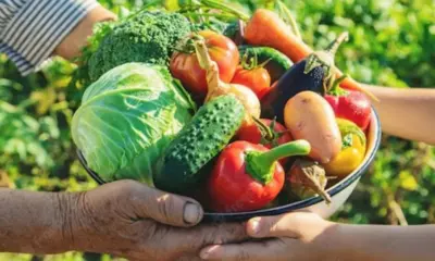 Acre habilita 186 entidades socioassistenciais para o Programa de Aquisição de Alimentos