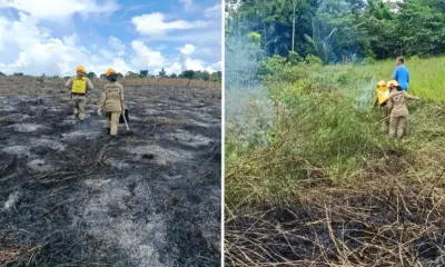 Fogo atinge área de aproximadamente 800 m² em Cruzeiro do Sul