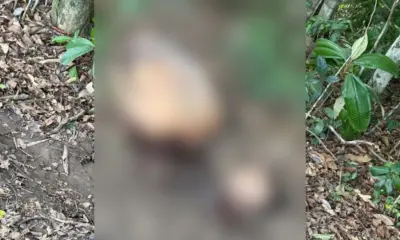 Ordem para decapitar indígena no Amazonas teria partido do Acre