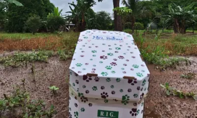 Único cemitério pet do Acre é licenciado e volta às atividades, diz proprietária