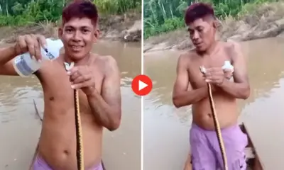 No Acre, Indígena dá álcool para cobra e mata animal