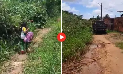 Morador denuncia mato e lixo em acesso a escolas no Montanhês