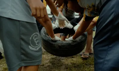 Educação como antídoto: escolas do Acre viram linha de frente contra o Aedes aegypti