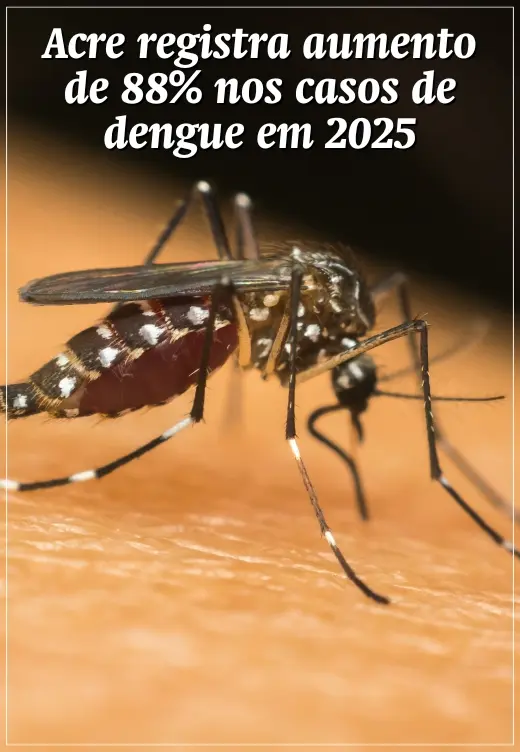 Acre registra aumento de 88% nos casos de dengue em 2025