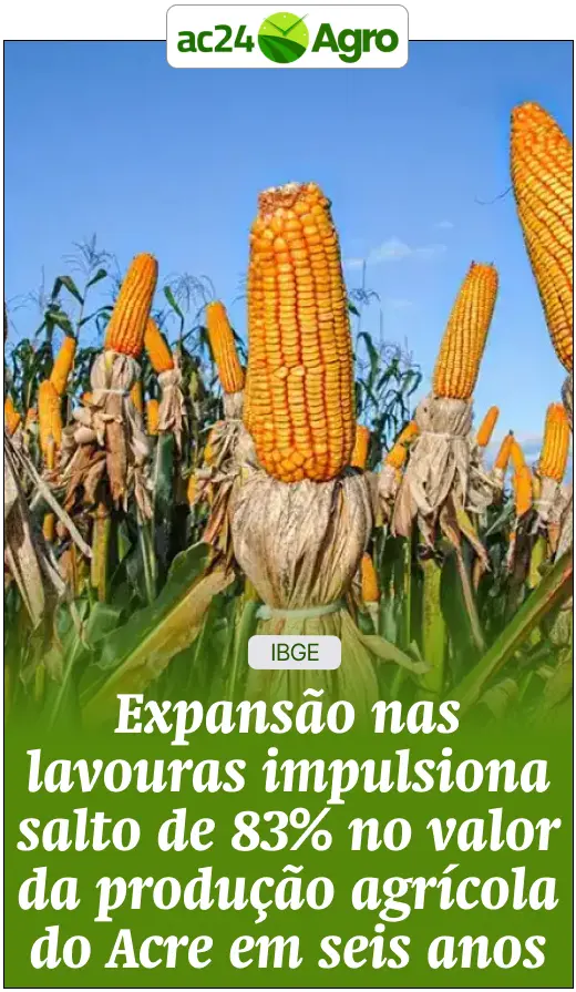 Acre tem 740 registros de agrotóxicos com permissão de uso com vencimento próximo