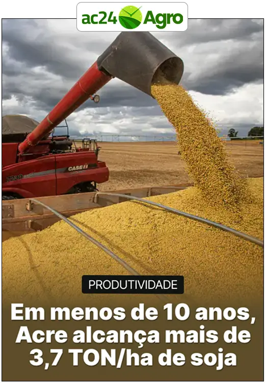 Em menos de 10 anos, Acre alcança mais de 3,7 TON/ha de soja