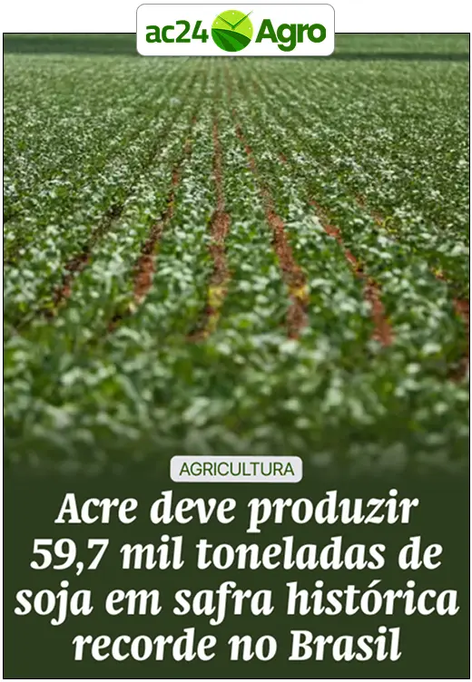 Acre deve produzir 59,7 mil toneladas de soja em safra histórica recorde no Brasil