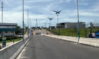 Com 90% da obra concluída, Elevado Mamedio Bittar chega à fase final