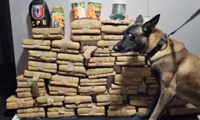 PM-AM apreende mais de 70 quilos de drogas escondidas em tubos de PVC