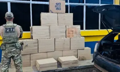 Carga com 7,5 mil maços de cigarros e desodorantes é apreendida na BR-364