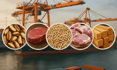 Fórum Empresarial calcula em 9,99% o aumento das exportações acreanas