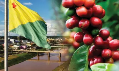 Governo sanciona lei que cria programa de incentivo à indústria do café no Acre