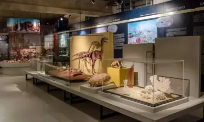 Exposição de fósseis reabre ao público e explora a pré-história do Acre