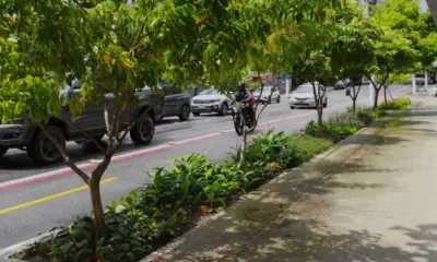 Belém inicia implantação de jardins de chuva para reduzir pontos de alagamento