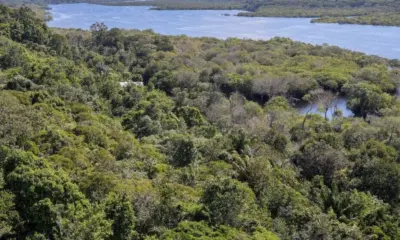 Amazônia Legal concentra 46,9% dos conflitos de terra no país