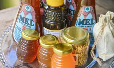 Quinari lidera produção de mel no Acre em 2025, aponta diagnóstico técnico