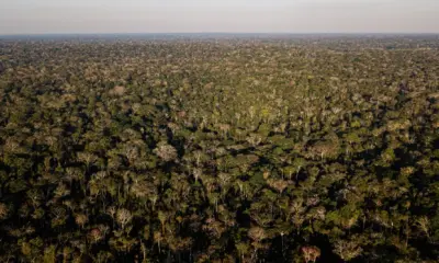 MPF denuncia invasores da Resex Chico Mendes por crimes ambientais