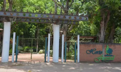 Prefeitura reforça cumprimento de regras para circulação de animais domésticos no Horto Florestal