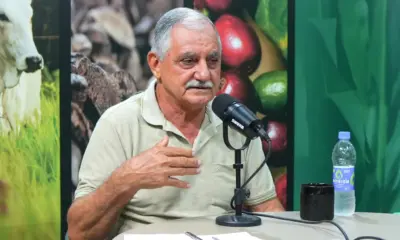 Apicultor denuncia uso irregular de drones para aplicação de agrotóxicos