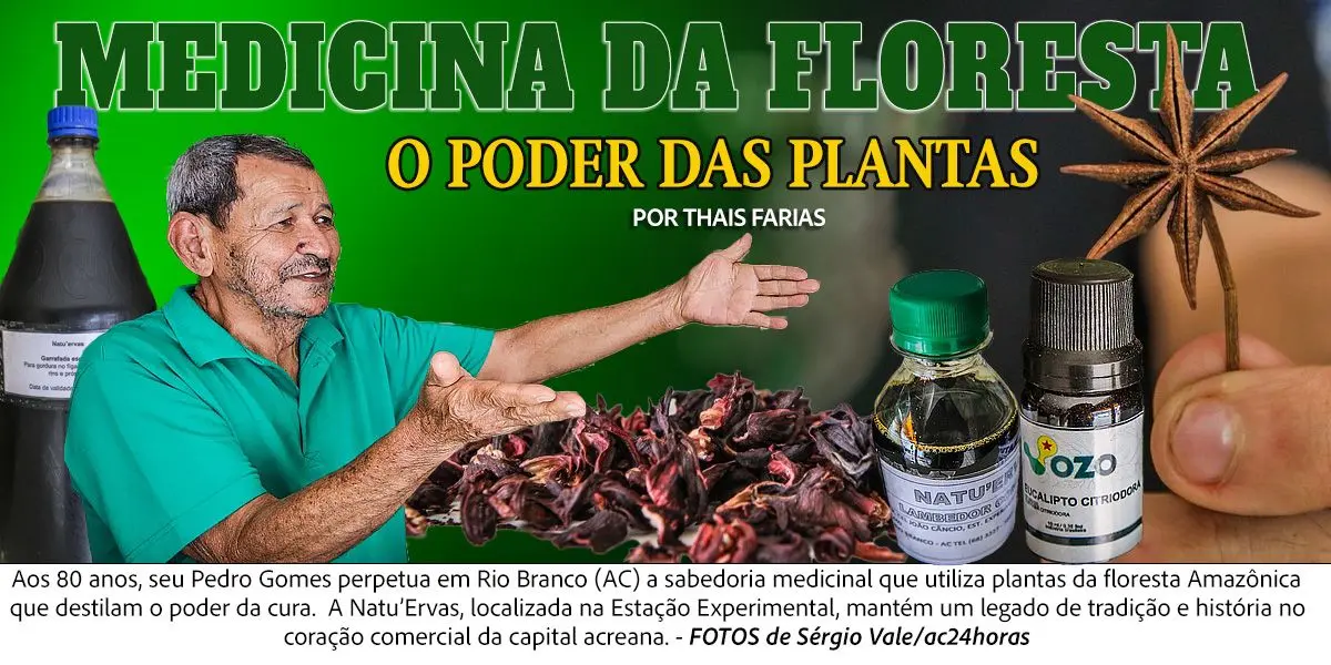 Lambedor, garrafadas e extratos: o poder medicinal das plantas no Acre