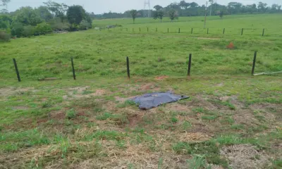 Idoso encontrado só de cueca e morto na BR-317 é identificado