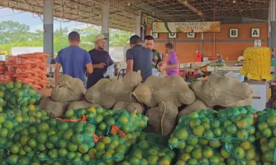 Produtores locais já se preparam para Feira do Peixe em abril, no Ceasa Rio Branco