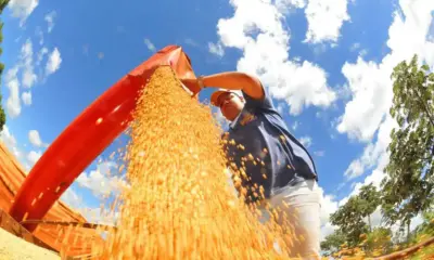 PIB agropecuário do Acre deve cair 0,7% em 2026