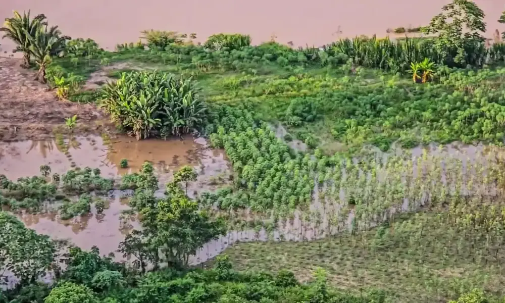 Cheia do Rio Acre causa prejuízo estimado em R$ 18 milhões a 1.800 famílias na zona rural de Rio Branco, diz Defesa Civil