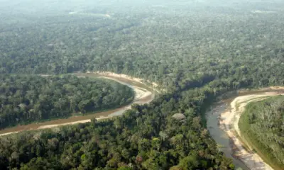 MPF e ICMBio firmam acordo para mapear colocações na Reserva Extrativista Chico Mendes