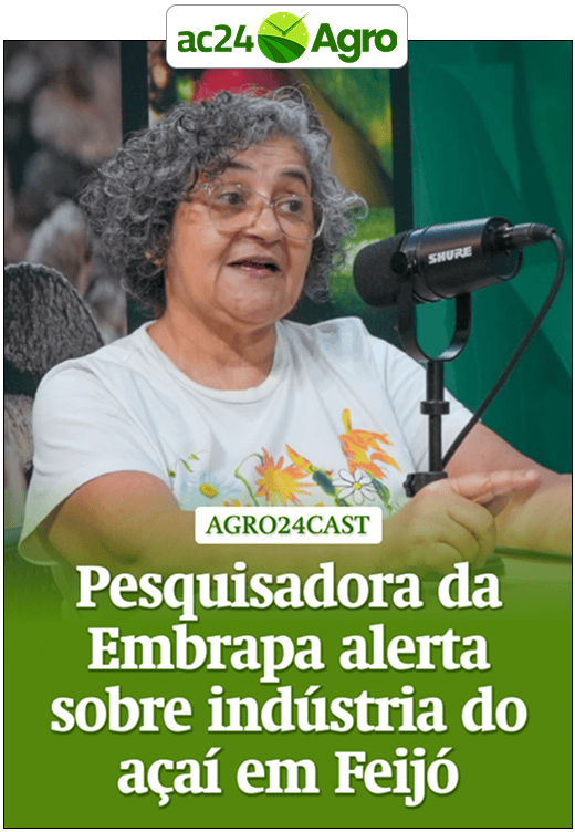 Pesquisadora da Embrapa alerta sobre indústria do açaí em Feijó