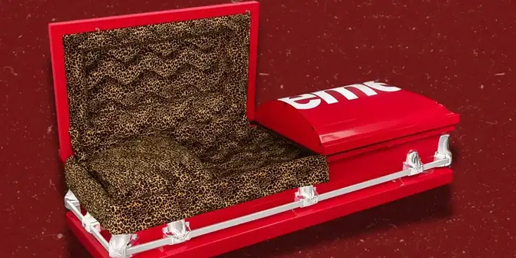 Luxo no fim da vida? Caixão de oncinha esgota em poucos minutos após lançamento
